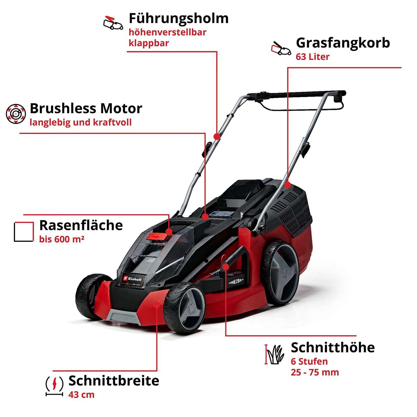 Einhell Akku-Rasenmäher GE-CM 43 Li M Kit Power X-Change (36V, 43 cm Schnittbreite, bis 600 m², Brushless, Mulch-Kit, 63L Fangkorb, 25-75 mm Schnitthöhe, inkl. 2x 4,0Ah + 2x Ladegerät)